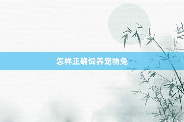 怎样正确饲养宠物兔